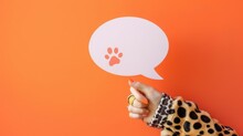Paw Prints Speech Bubble Free Stock Photo Public Domain Pictures
