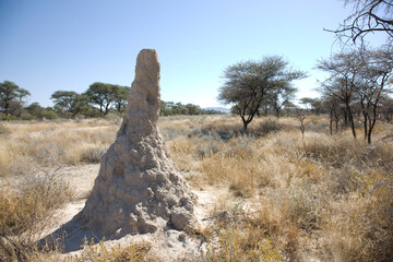 Sticker - Namibia termite mounds on a sunny autumn day