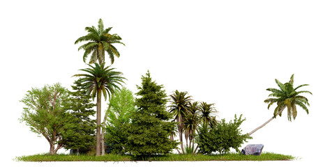 Poster - small forent, tree group, 3d illustration rendering, no background PNG transparent