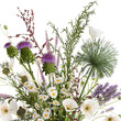 Bouquet of wildflowers poppy chamomile lavender thistle isolated on white background