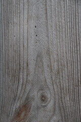 Wall Mural - old wood texture