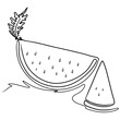 continuous line drawing of watermelon isolated on transparent background. Vector illustration