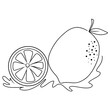 continuous line drawing of lemon isolated on transparent background. Vector illustration