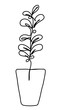 continuous line drawing of plant in pot isolated on transparent background. Vector illustration