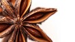 Macro shot of a star anise pod, highlighting the glossy texture and deep brown color, contrasted with a pure white background