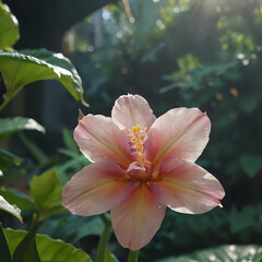 a pink flower that is blooming in the sun