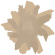 Handcrafted Watercolor light brown-beige Star Stain. Transparent Background. Captivating Vector Clipart. Adds Artistic Flair to Designs