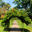 Flower arch over the walking path.