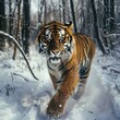 Describe the threat to extinction of the Amur tiger, the symbol of Siberia, against the background of the destruction of forests,