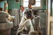 Dog wearing a bathrobe and reading a newspaper