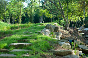 waterfall in the park