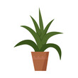 Green cute plant in pot for indoor garden, decoration for house vector illustration