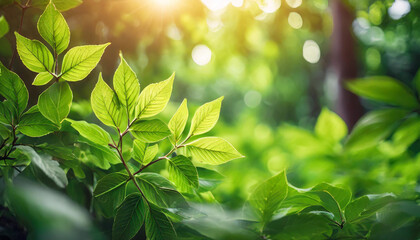 Poster - green leaves basking in sunlight against a clear blue sky, symbolizing growth, vitality, and rejuvenation