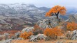   A solitary orange tree in a rocky terrain, backed by mountain ranges, features snow-capped peaks in the distance