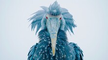   A Detailed Shot Of A Blue Bird With An Oversized, Reddish Beak