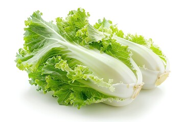 Wall Mural - A whole endive with curly leaves, isolated on a white background