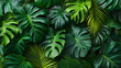© CtrlN - A lush green forest with many leaves and vines