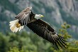 Close-up of a bald eagle soaring with outspread wings before a mountainous backdrop