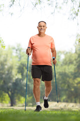 Poster - Mature man with walking poles