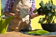 A female florist in an apron transplants outdoor begonia plant for landscaping in the outdoor planters