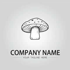 Mushroom logo company design vector image isolated on the white background