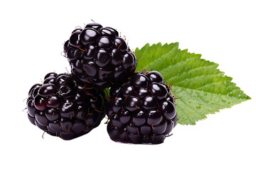 Wall Mural - Juicy Blackberry on transparent background: Perfect for Healthy Snacks and Delicious Recipes.