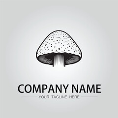 Mushroom logo company design vector image isolated on the white background