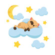 Vector illustration of a cute kitten sleeping on a cloud. Cartoon scene of a cute cat lying and sleeping on a fluffy cloud with a crescent moon, yellow stars, clouds isolated on a white background.