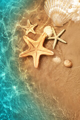 Wall Mural - Starfish and seashell on the summer beach in sea water. Summer background.