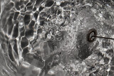 Fototapeta  - Microgotas de agua