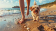 Portrait of cute fluffy dog running with female owner on sandy beach during summer holiday. Generative AI