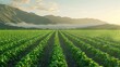 Young potatoes growing in the field are connected to drip irrigation. Agriculture landscape. Rural plantations. Farmland Farming. Selective focus. AI generated illustration