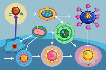 Poster - Colorful illustration of eight abstract cells connected by arrows, showing a sequence or flow of biological processes, set against a light blue background. Each cell is uniquely colored and patterned