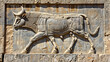 Ancient bull bas-relief on the Eastern Stairway of Apadana Palace