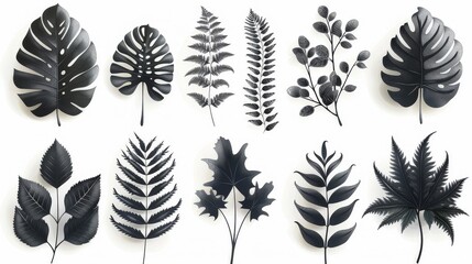 Wall Mural - Plant silhouettes and leaf elements. Tropical plants, leaves, branches, foliage. Hand drawn botanical moderns for decor, website, graphic, and decoration.