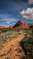 Spring Hike views at Snow Canyon State Park Utah 