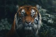majestic tiger portrait with piercing eyes ultra high definition 4k wallpaper wildlife photography