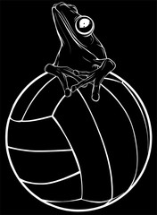 Canvas Print - white silhouette of Volleyball ball with frog on black background vector illustration design