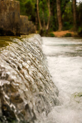 Wall Mural - Green landscapes of Chulilla, Spain, featuring water, rivers, reeds, and rocky terrains