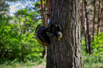 Wall Mural - A tactical helmet and active tactical headphones hang on a tree branch. Defense of the military, military operations. War in Ukraine