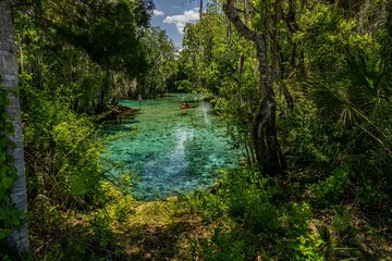 Poster - crystal river, florida