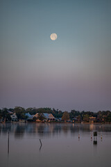 Wall Mural - crystal river, florida