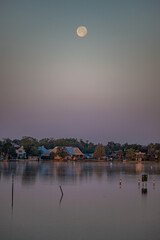 Canvas Print - crystal river, florida