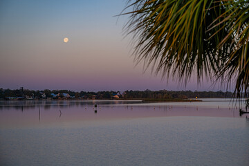 Canvas Print - crystal river, florida