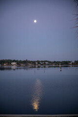 Canvas Print - crystal river, florida