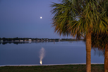 Wall Mural - crystal river, florida