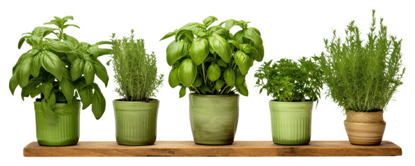 Sticker - PNG  Potted green herbs plant arrangement houseplant.