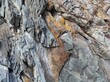 Geodesy texture photo. Texture of natural rocks of earth and stone. design blank