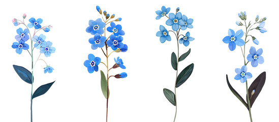 Wall Mural - Collection of Forget-me-not flower single stem clipart watercolor isolated on transparent or white backgroud png cutout clipping path