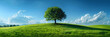 A green field with tree and a blue sky and white clouds, nature background. banner	
